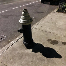 Load image into Gallery viewer, SEEING THINGS