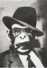 Load image into Gallery viewer, Everyday Play