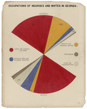 Load image into Gallery viewer, BLACK LIVES 1900: W.E.B. Du Bois at the Paris Exposition